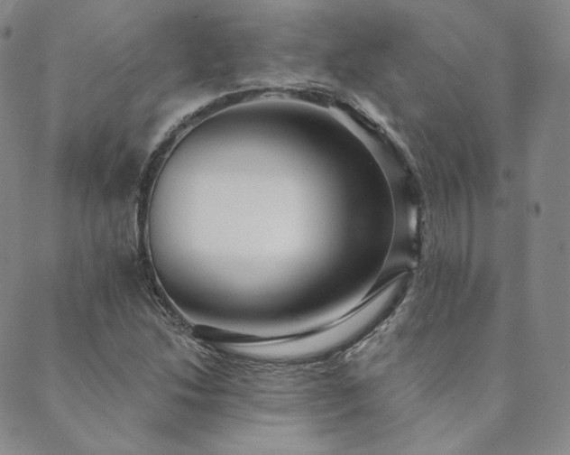 X0000089881214200706281341