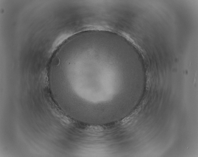 X0000089881215200706281341