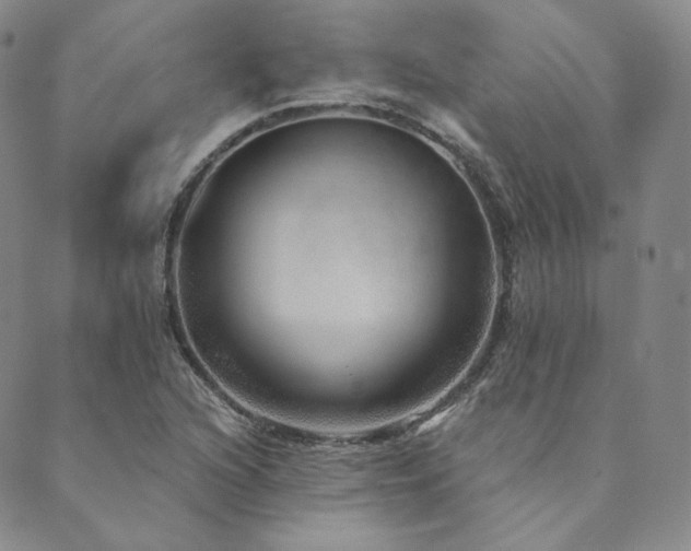 X0000089881216200706281341