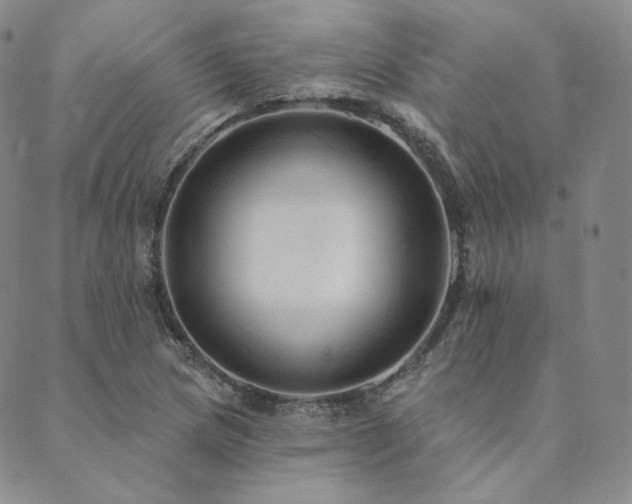 X0000089881217200706281341