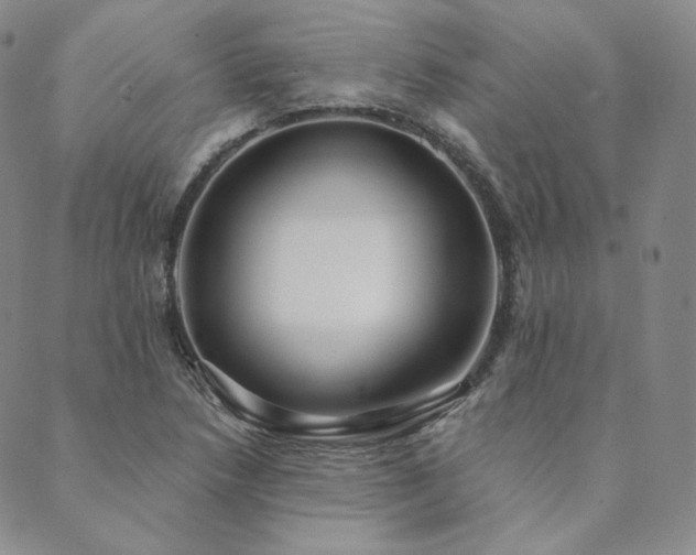 X0000089881218200706281341