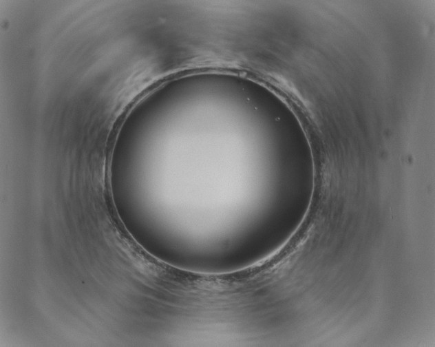 X0000089881220200706281341