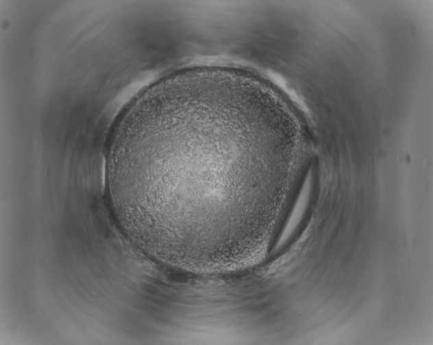 X0000089881221200706281341