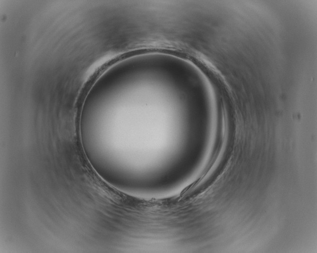 X0000089881222200706281341