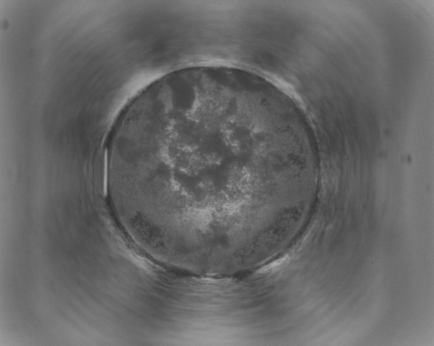 X0000089881223200706281341