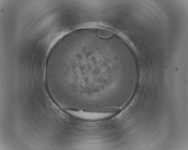 X0000089881224200706281341