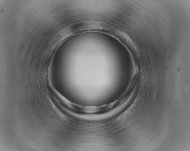 X0000089881225200706281341