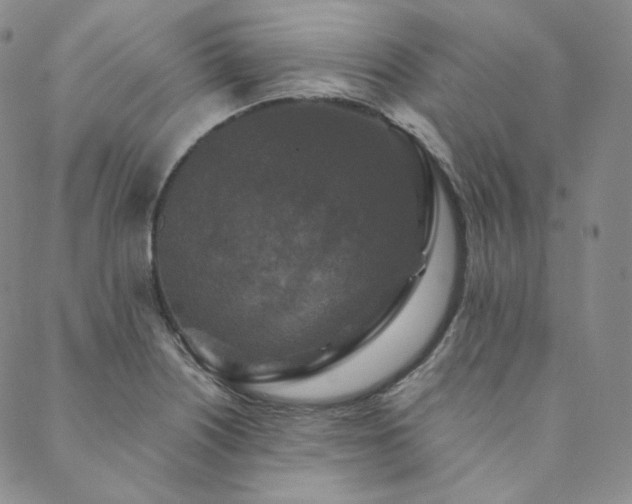 X0000089881226200706281341