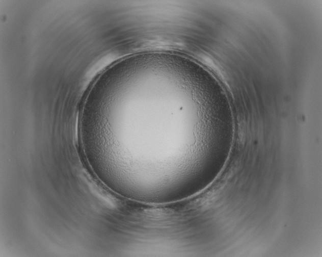 X0000089881227200706281341