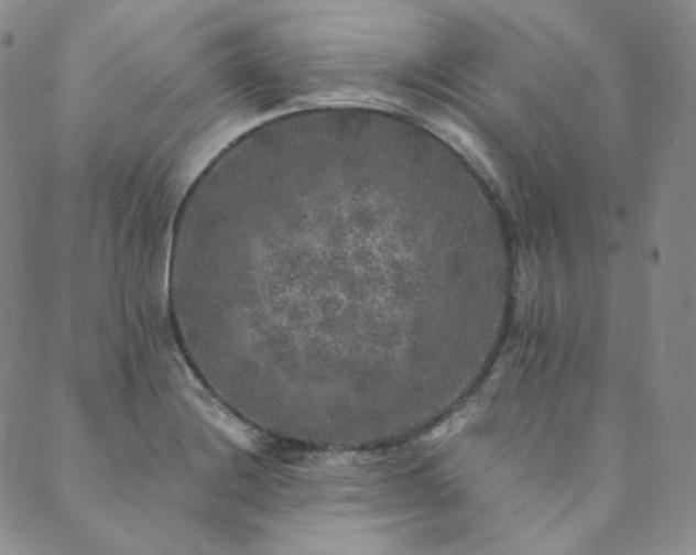 X0000089881228200706281341