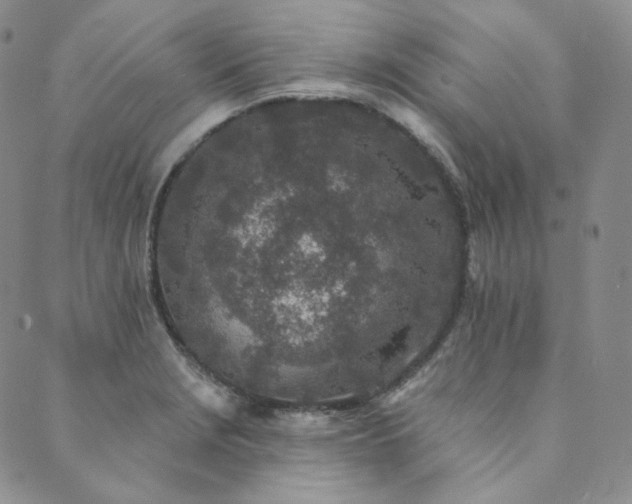 X0000089881229200706281341