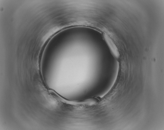 X0000089881230200706281341