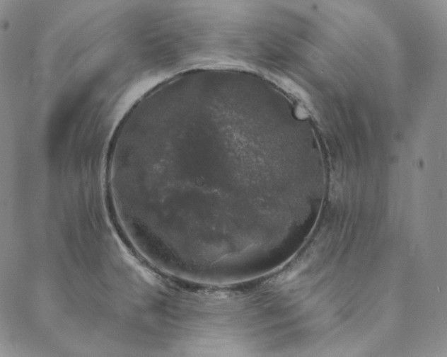 X0000089881231200706281341