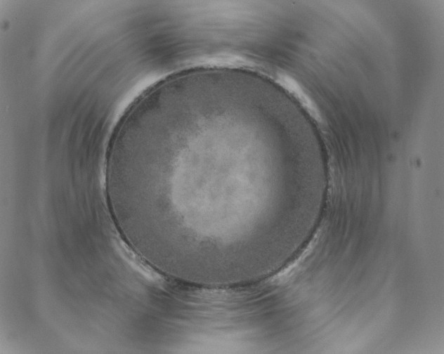 X0000089881232200706281341