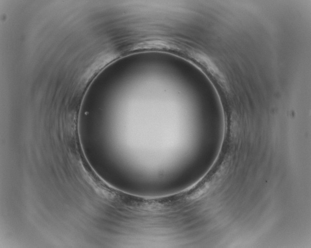 X0000089881233200706281341