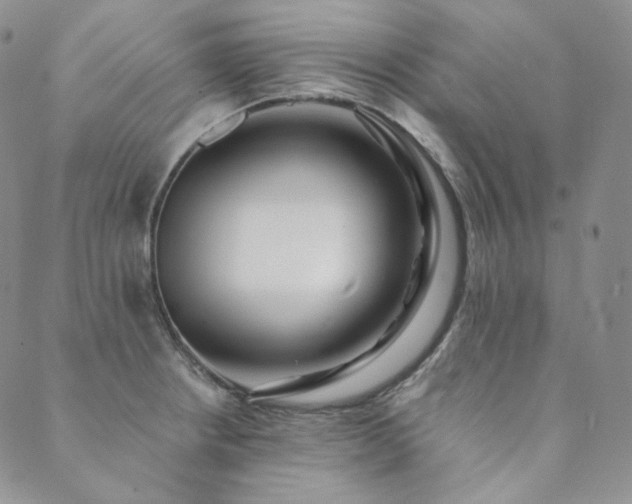 X0000089881234200706281341