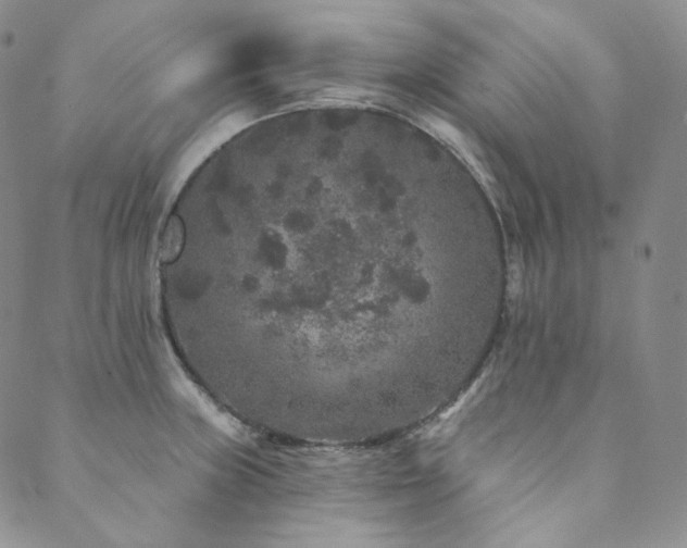 X0000089881235200706281341