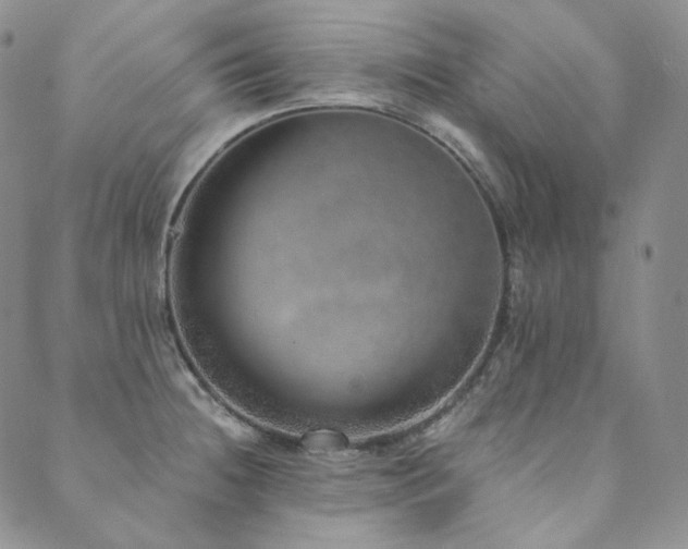 X0000089881236200706281342