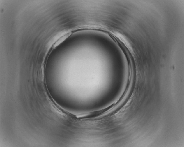 X0000089881238200706281342