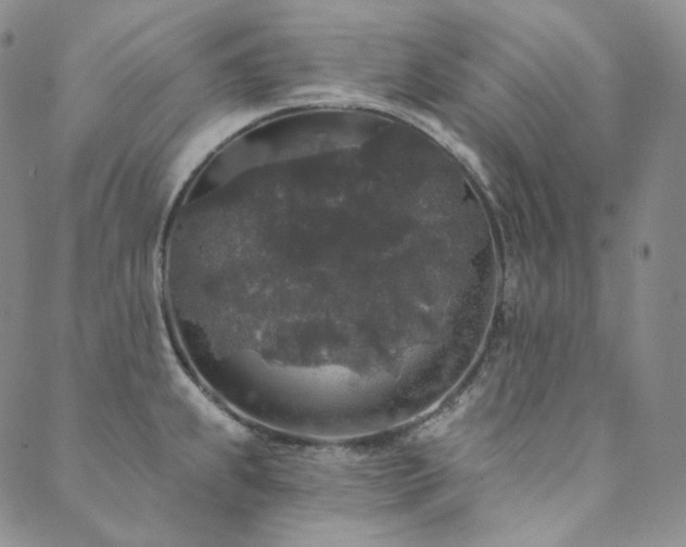 X0000089881239200706281342