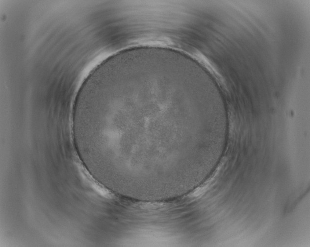 X0000089881240200706281342