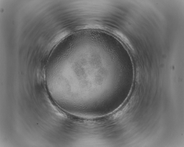 X0000089881241200706281342