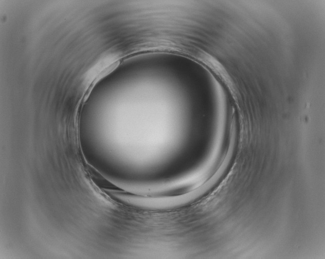 X0000089881242200706281342