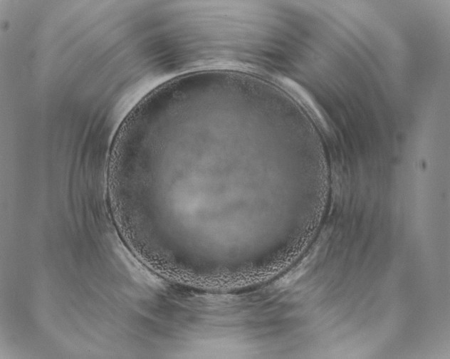 X0000089881244200706281342