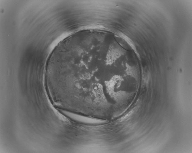 X0000089881245200706281342