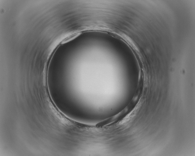 X0000089881246200706281342