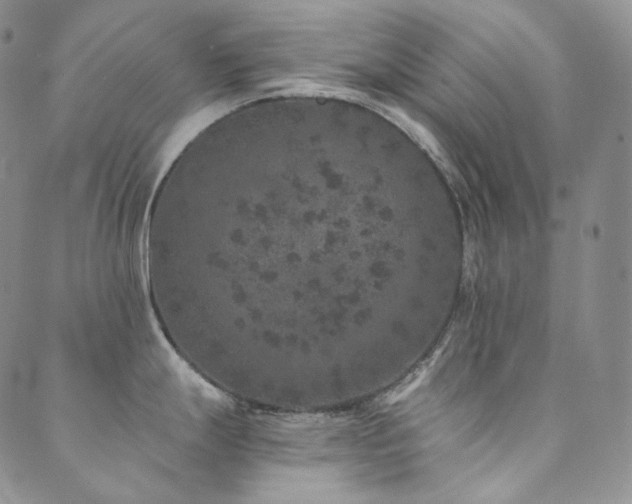 X0000089881247200706281342