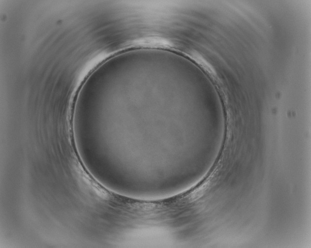 X0000089881248200706281342