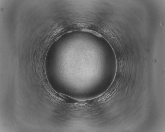 X0000089881249200706281341