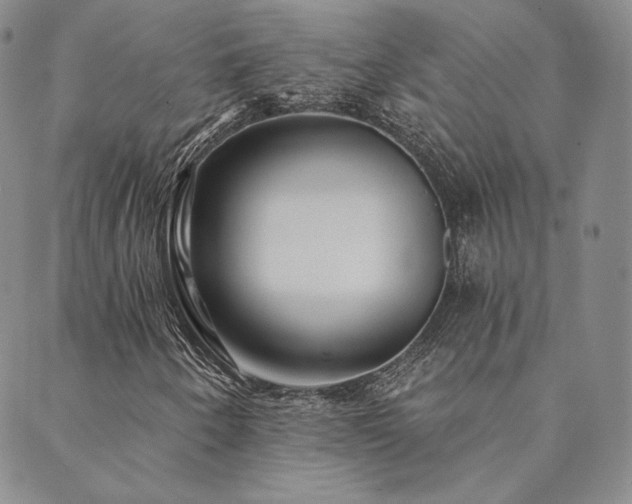 X0000089881250200706281341