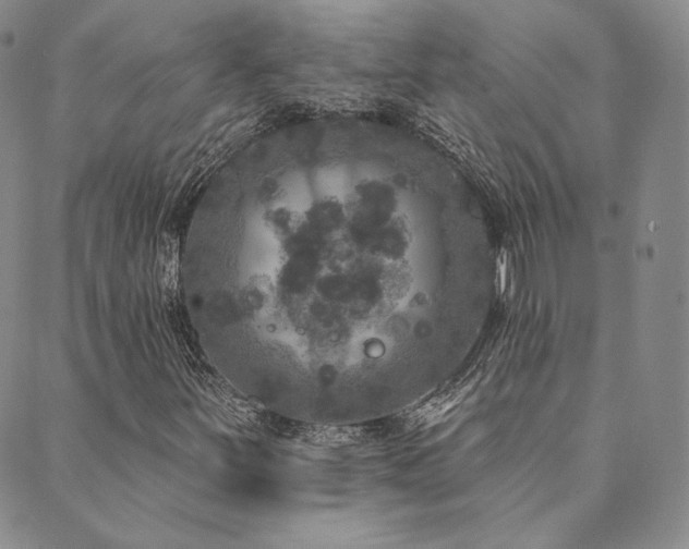 X0000089881251200706281341