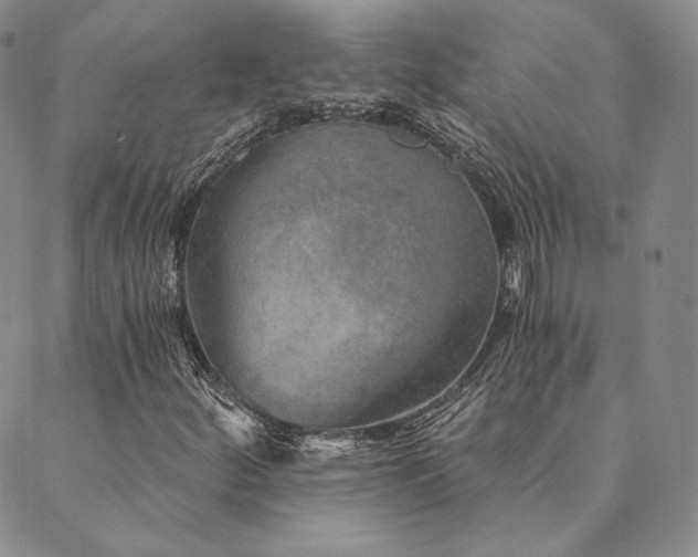 X0000089881252200706281341