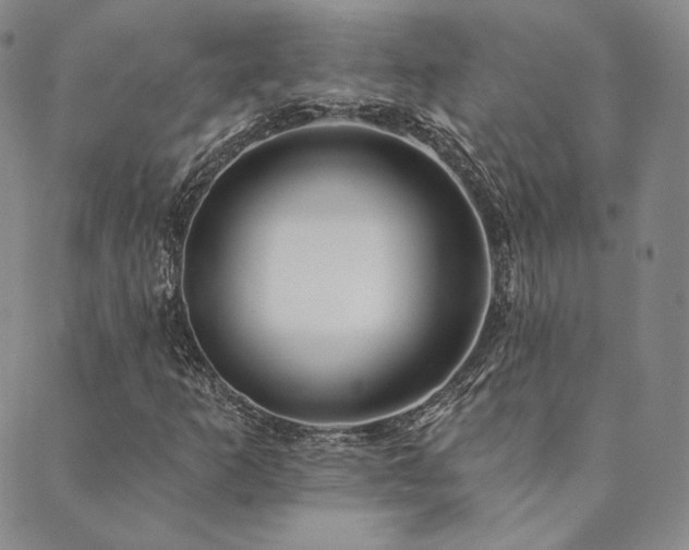 X0000089881253200706281341