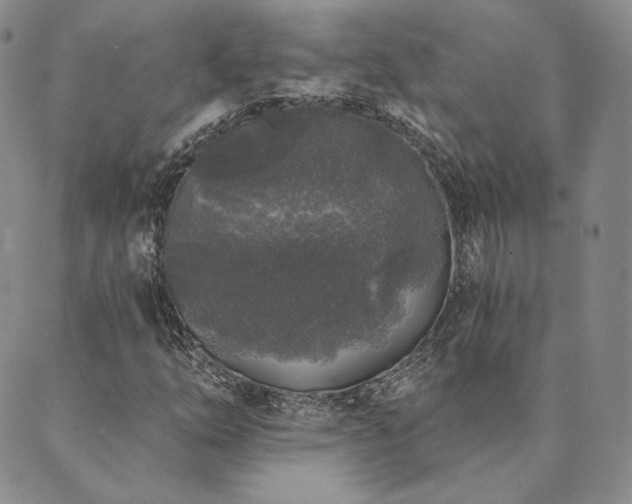 X0000089881254200706281341