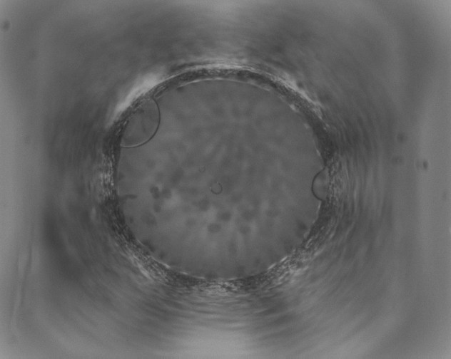 X0000089881255200706281341