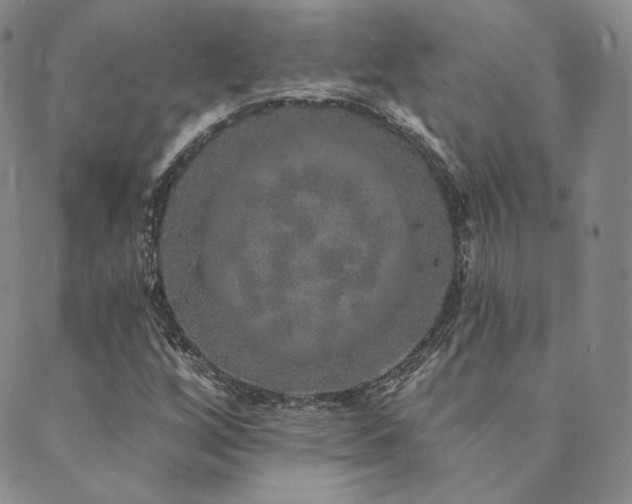 X0000089881256200706281341