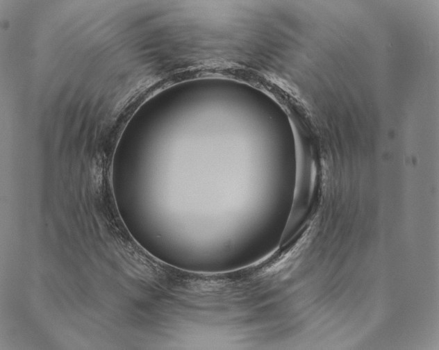 X0000089881257200706281341