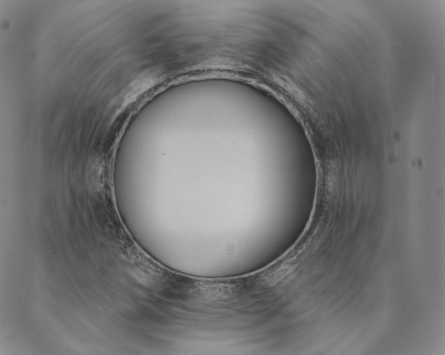 X0000089881258200706281341