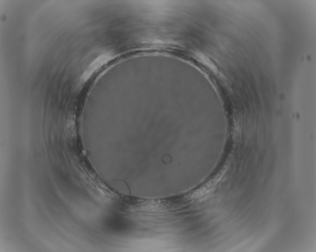 X0000089881259200706281341