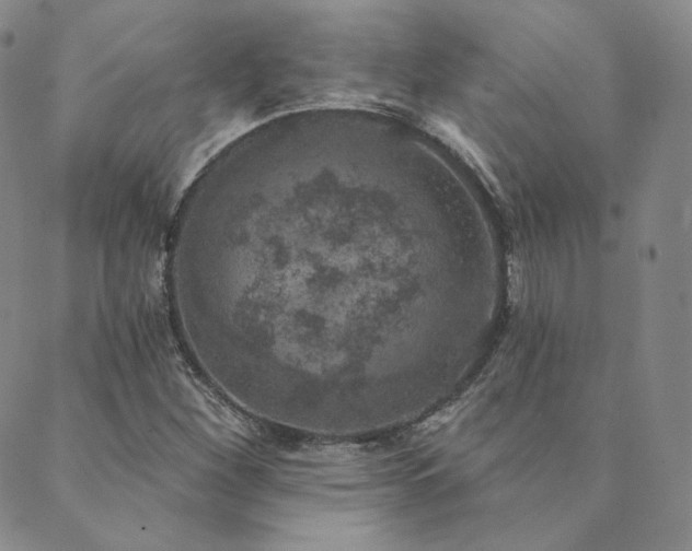 X0000089881260200706281341