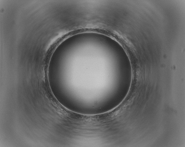 X0000089881262200706281341