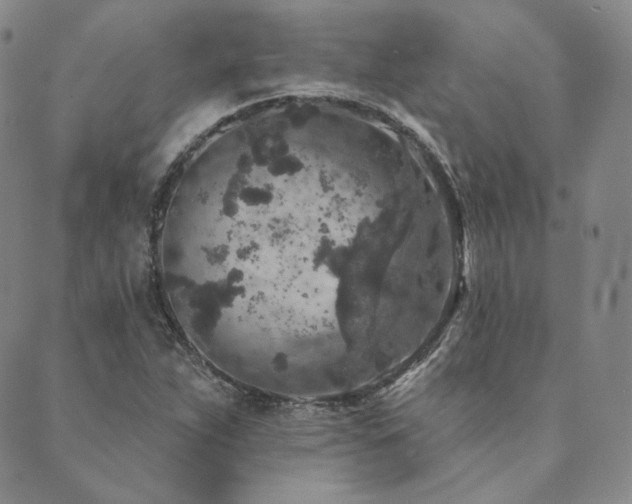 X0000089881263200706281341