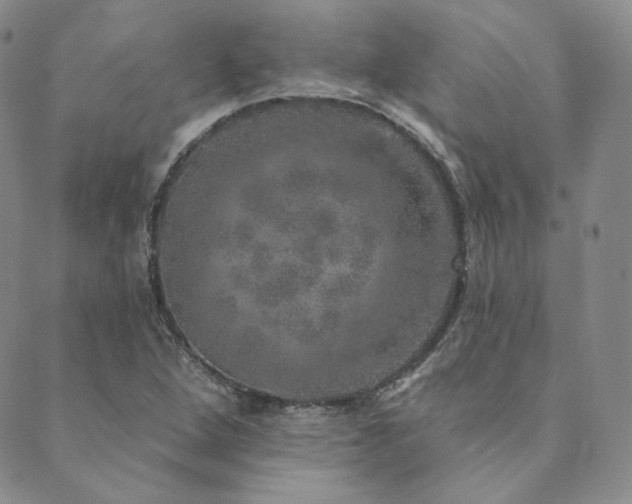 X0000089881264200706281341