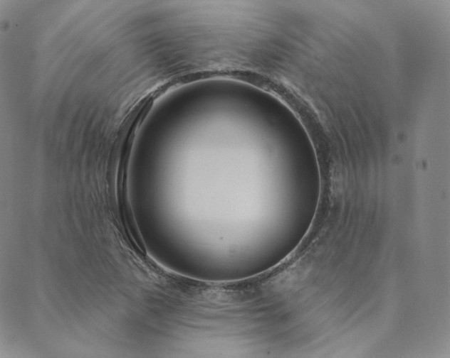 X0000089881265200706281341