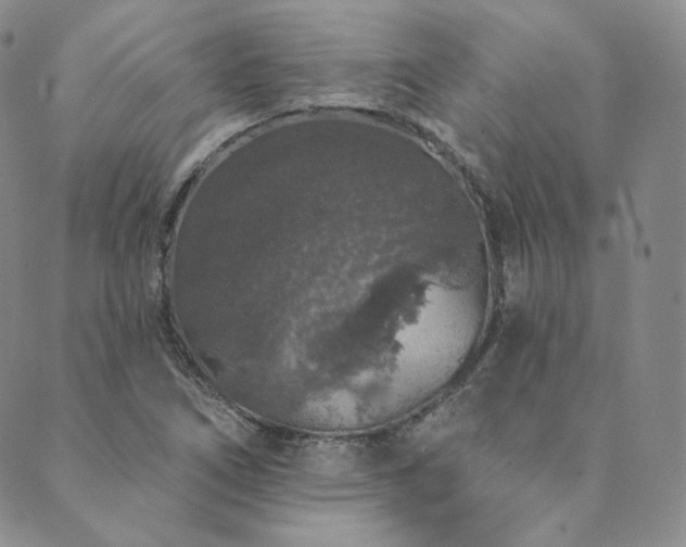 X0000089881266200706281341