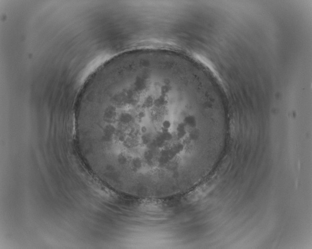 X0000089881267200706281341